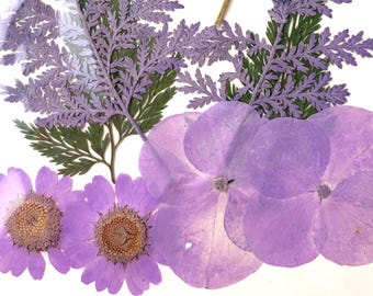 2 packs of dried pressed purple and pink flowers, preserved flowers and leaves for resin art, framed floral arrangement, candles