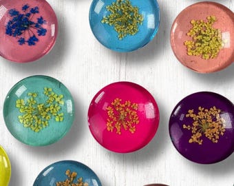 5 or 20 pressed flower glass cabochons, ~25mm round flat back cabs, assorted mix transparent colors with dried lace flower (B0086)
