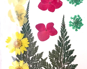 2 packs of dried pressed yellow and pink flowers, preserved flowers and leaves for resin art, framed floral arrangement, candles
