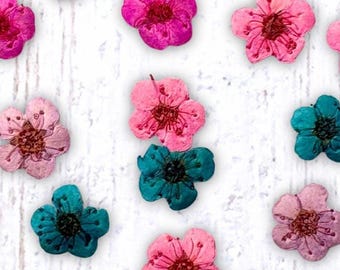 20 tiny dried dainty pressed flower heads, pink, blue, & purple (dyed), small 7mm flowers for pressed flower art, cards, jewelry