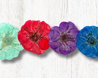 Pressed dried plum blossoms, pack of 12 preserved flowers for pressed flower arrangements, resin art, phone cases, scrapbooking, card making