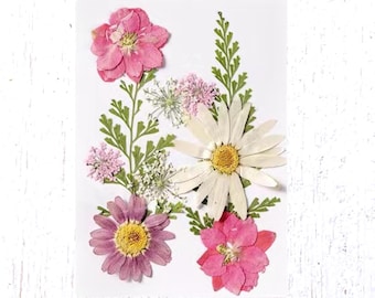 Dried Flowers & Leaves