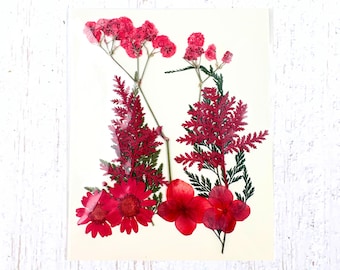 2 packs of dried pressed magenta red flowers, preserved flowers and leaves for resin art, framed floral arrangements, bookmarks, candles