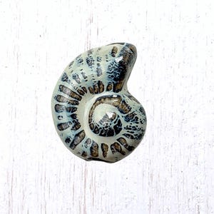 4 porcelain spiral sea shell beads, large 38.5x31mm glazed ceramic w/ 3mm hole, marine life beads for crafts (C0121)