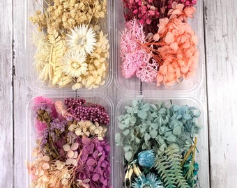 Dried flower mix for crafts, assorted dried flowers for resin, candle, and soap making, DIY herbarium jars, for shadow boxes, 5.9x4.4" tray