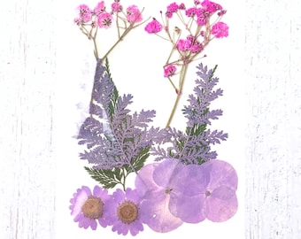 2 packs of dried pressed purple and pink flowers, preserved flowers and leaves for resin art, framed floral arrangement, candles