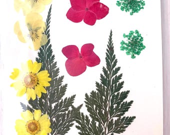 2 packs of dried pressed yellow and pink flowers, preserved flowers and leaves for resin art, framed floral arrangement, candles