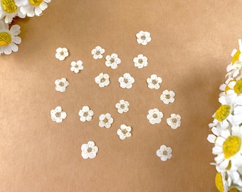20 tiny dried dainty pressed narcissus flower heads, small 7mm cream narcissus flowers for crafts, pressed flower art, herbariums, jewelry