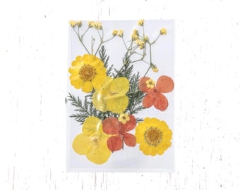 2 packs of dried pressed yellow and salmon flowers, preserved flowers and leaves for resin art, framed floral arrangement, candles