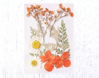 2 packs of dried pressed orange and cream flowers, preserved flowers and leaves for resin art, framed floral arrangement, bookmarks, candles