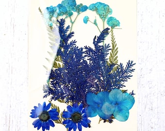 2 packs of dried pressed blue and turquoise flowers, preserved flowers and leaves for resin art, framed floral arrangement, candles