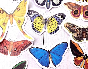 Butterfly & moth sticker pack, 50 assorted waterproof PVC stickers for cards, scrapbooking, junk journals, laptops, 30~80x60~80mm