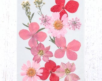 2 packs of dried pressed pink flowers, preserved flowers and leaves for resin art, framed floral arrangement, bookmarks, candles