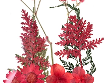 2 packs of dried pressed magenta red flowers, preserved flowers and leaves for resin art, framed floral arrangements, bookmarks, candles