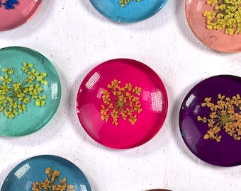 5 or 20 pressed flower glass cabochons, assorted mix transparent colors with dried lace flower, 25mm flat back cabs for magnets, cab trays