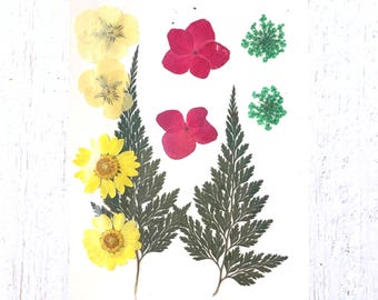 2 packs of dried pressed yellow and pink flowers, preserved flowers and leaves for resin art, framed floral arrangement, candles