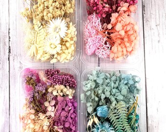 Dried flower mix for crafts, assorted dried flowers for resin, candle, and soap making, DIY herbarium jars, for shadow boxes, 5.9x4.4" tray