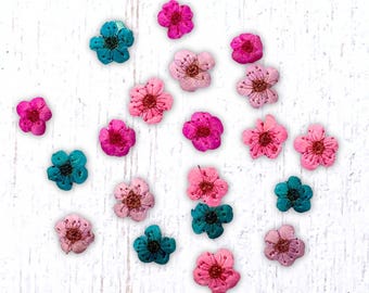 20 tiny dried dainty pressed flower heads, pink, blue, & purple (dyed), small 7mm flowers for pressed flower art, cards, jewelry