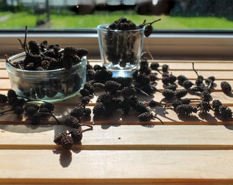 Organic Alder Cones - dried