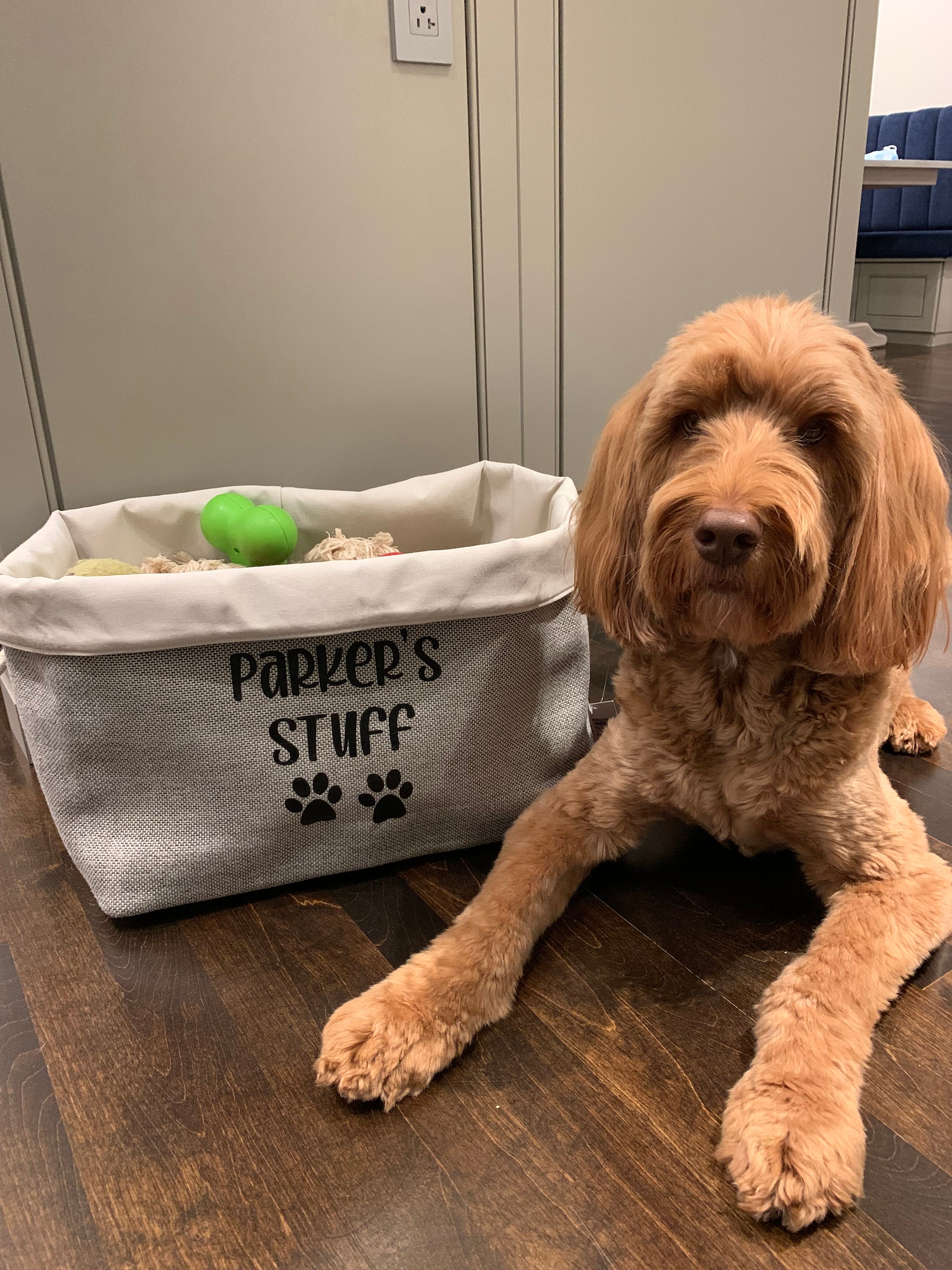 Pet Toy Bin / Dog Toy Bin / Paw Theme / Puppy Toys / Pet Etsy Canada