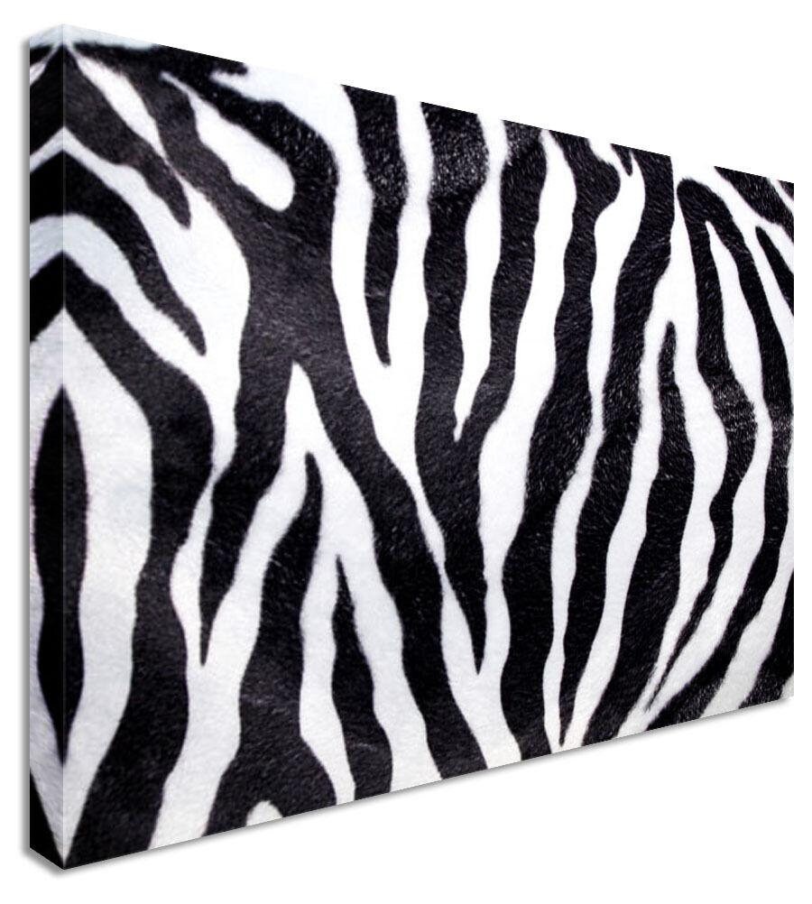 Zebra Skin Canvas Wall Art Picture Print Etsy.de