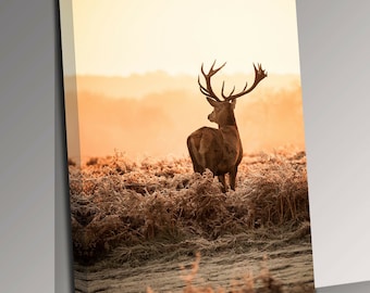 Stag Sunset Canvas Wall Art Picture Print