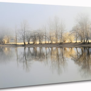 May include: A canvas print of a tranquil waterscape. Bare trees stand on the shore, their reflections perfectly mirrored in the still water. The scene is shrouded in a soft mist, creating a muted colour palette and a sense of peace.