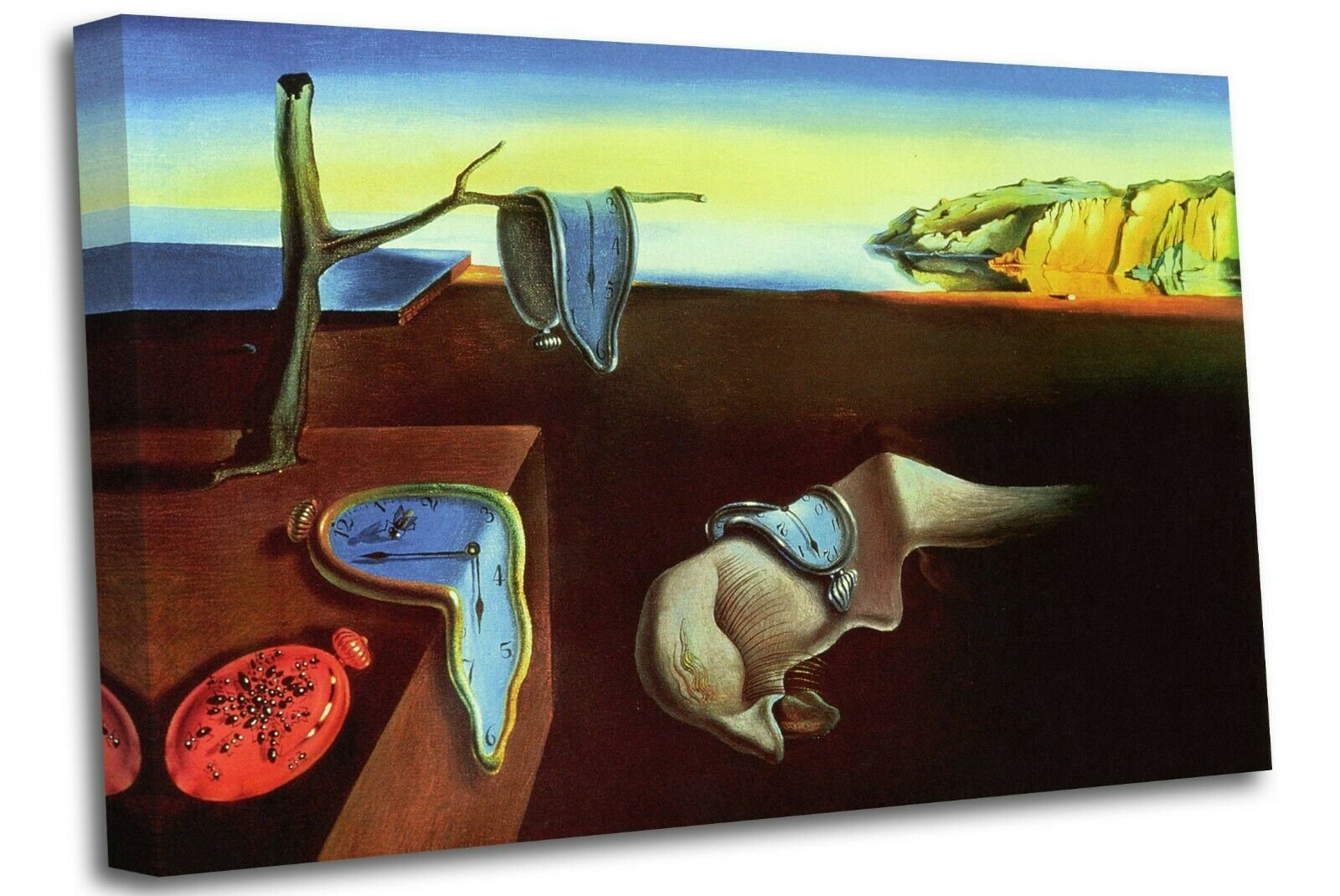 the persistence of memory meaning face the persistence of memory meaning face