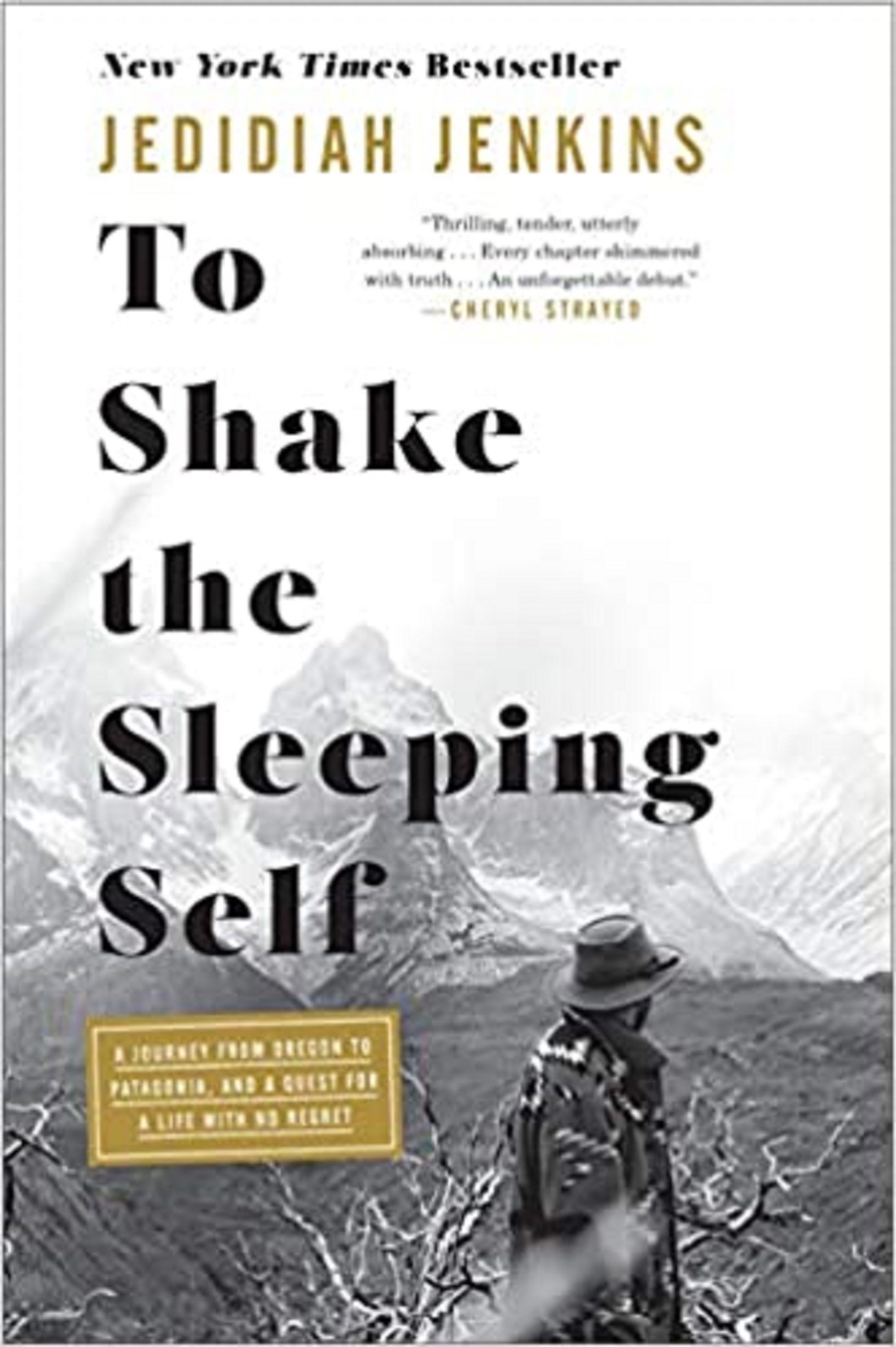 to shake the sleeping self review to shake the sleeping self review