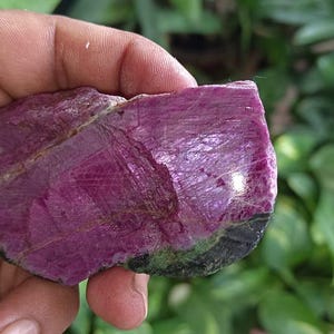 Op de afbeelding: Een ruwe, natuurlijke robijn edelsteen met een diepe magenta tint. De steen heeft een kristallijne structuur met zichtbare strepen en een donkergroene en zwarte rand. De robijn wordt in een hand gehouden tegen een achtergrond van groen gebladerte.