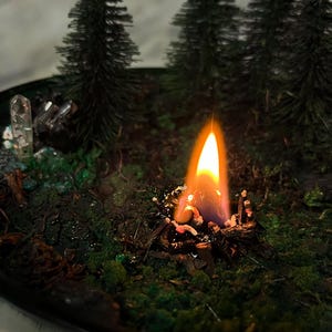 May include: A miniature forest scene with three small evergreen trees, a small campfire with a flame, and green moss surrounding the base of the trees.