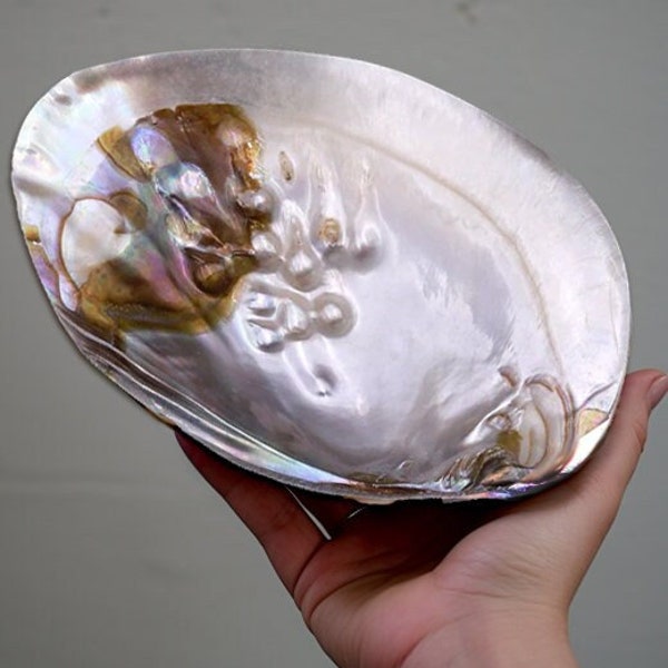 Jewelry Dish Etsy