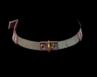 Simple Purple and Green Collar