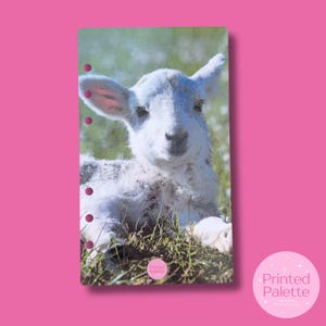 Cute Lamb Dashboard, Savings Dashboards, A6 Budget Dashboard, Savings Binder Insert, Cash Stuffing, Cash Envelope System, Cash Saving Dash