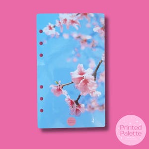 Cherry Blossom Dashboard, Cash Stuffing Dashboard, Budget Dashboards, A6 Budget Binder, Cash Envelope System, Cash Budgeting, A6 Dashboards