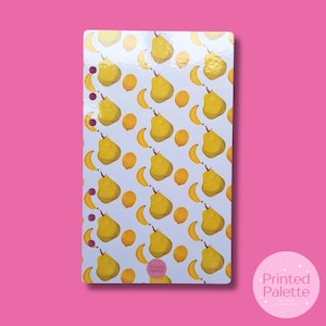Fruity A6 Budget Binder Dashboard: Laminated Cash Envelope System