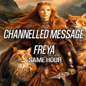 1 HORA Freya Mensagem Canalizada Tarô da Divindade Psíquica Leitura Freya Portal Freyja Bruxaria Pagã Wicca Deusa Nórdica Viking Mesma Hora