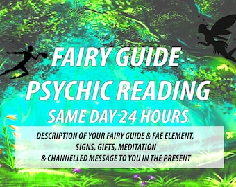 SAME DAY Fairy Reading Who Is My Spirit Guide Elemental Elf Fae Channelled Message