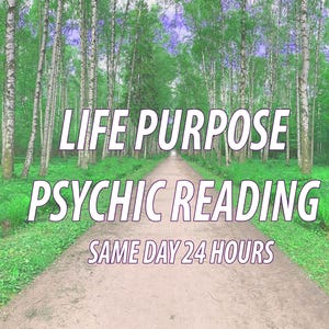 SAME DAY Life Purpose Reading Life Lessons Obstacles 24 Hours Psychic Reading Life Progression Spiritual Guidance Love Career Life Guidance