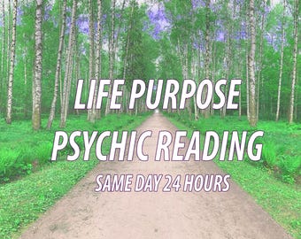 SAME DAY Life Purpose Reading Lessons Obstacles Psychic Life Progression Spiritual Guidance Love Career