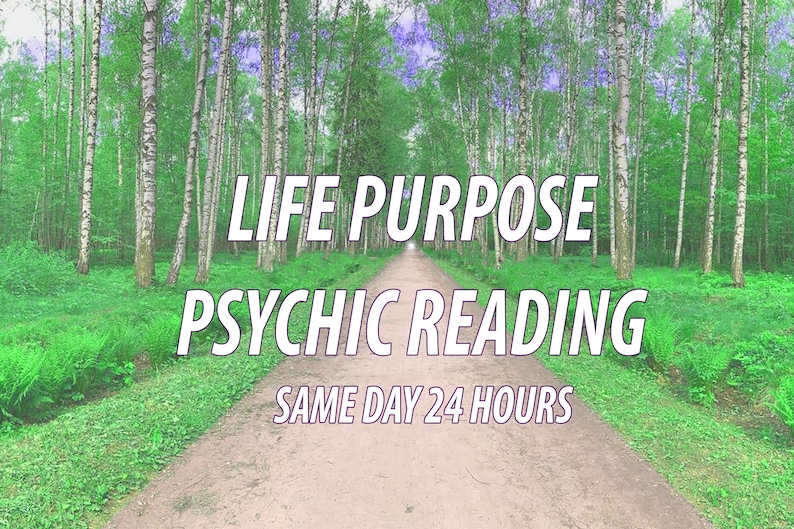 May include: A path through a forest of birch trees with the text "LIFE PURPOSE PSYCHIC READING SAME DAY 24 HOURS" superimposed on the image.