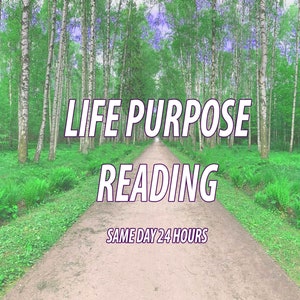 Life Purpose Reading In Depth Life Lessons Obstacles Same Day 24 Hours Psychic reading Message from Universe Life Progression