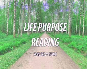 Life Purpose Reading In Depth Life Lessons Obstacles Same Day 24 Hours Psychic reading Message from Universe Life Progression