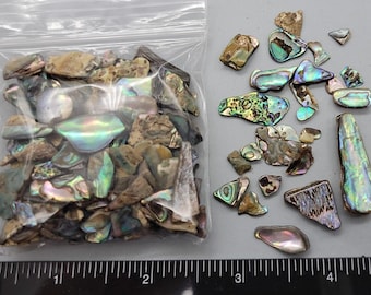 Abalone Chips Paua - 4mm to 20mm - 2.5" x 2.5" bag