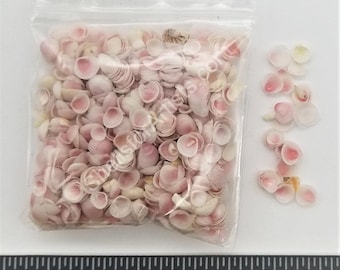 Apple Blossoms - 4mm to 8mm - 2.5" x 2.5" Bag