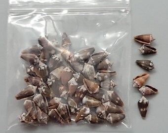 Miniature Cones