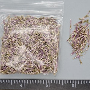 May include: A clear plastic bag filled with small, dried sea urchin spines. The spines are a mix of purple, tan, and white, with a ruler in the foreground. Some spines are loose beside the bag.