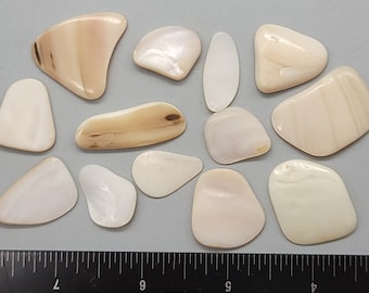 Tumbled polished Freshwater Mother of Pearl pieces - 15mm to 25mm - 2" x 2" bag