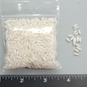 May include: A clear plastic bag filled with white, oblong beads. Several loose beads are scattered to the right of the bag. The beads have a smooth, glossy appearance. A ruler is at the bottom of the image.