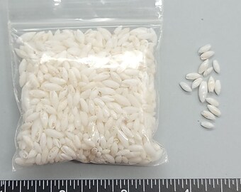 Traditional White Rice Shells from Florida - 5mm to 8mm - 2.5"x2.5" bag